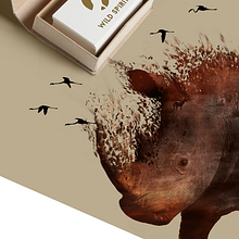 Branding Wild Spirit. Un proyecto de Br, ing e Identidad, Diseño gráfico, Diseño Web y UX / UI de Leónnidas - 21.06.2017