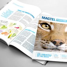 Revista corporativa Magtel. Br, ing, Identit, and Editorial Design project by Julieta Giganti - 12.20.2015