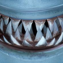 Gráfica Publicitaria Oral B. Br, ing, Identit, Design, Graphic Design, Advertising, and Photo Retouching project by Sonia Agulló Ponce - 06.26.2017