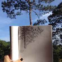 Ilustración en Mazamitla. Traditional illustration project by Marisol de la Torre - 06.25.2017