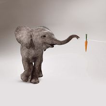 Elefante adolescente. Un proyecto de 3D, Animación de personajes y Publicidad de Rafa Zabala - 29.06.2017