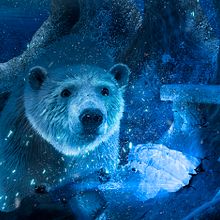 Diamante de Oso. Un progetto di Design, Lighting design e Fotografia di Julian Strohalm - 04.07.2017