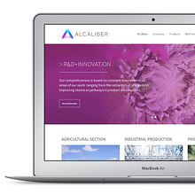 Alcaliber. Un projet de Br, ing et identité, Développement web , et Webdesign de Jean Assémat - 04.07.2017