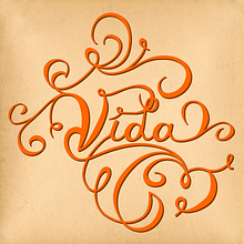Vida Ein Projekt aus dem Bereich Lettering von Alejandro Bottini - 08.07.2017