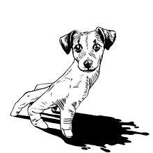 Mutantes. Portfolio 2017 Ein Projekt aus dem Bereich Traditionelle Illustration von Elisa Gómez Calvo - 08.07.2017