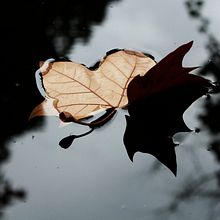 LUZ 2015. Photograph project by Maria Boix Calero - 07.10.2017