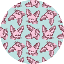 FENNEC. Design, Graphic Design, and Vector Illustration project by Laura Garcia - 07.12.2017