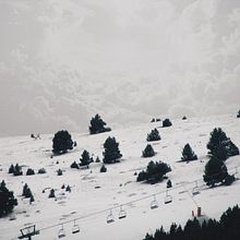 Nature. Un progetto di Fotografia di Adriana Atrio Albano - 12.05.2017