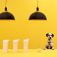Rediseño y Campaña RACO . Un progetto di Br, ing, Br, identit, Consulenza creativa, Direzione artistica, Lighting design e Interior design di Masquespacio - 15.09.2016