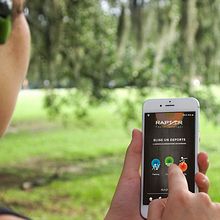 Imagen corporativa RAPTOR (Marca de ropa deportiva). Projekt z dziedziny Br, ing i ident, fikacja wizualna i Projektowanie graficzne użytkownika Marga Sanz - 16.07.2017