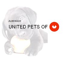 Albergue United Pets of Domestika. Marketing project by Jorge Catalan Catalan - 07.17.2017
