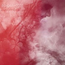 Proyecto: Album Cover para Adiós Nicole. Photograph, Traditional illustration, and Photo Retouching project by Tomás Alburquerque Martínez - 02.01.2017