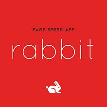 Rabbit Page Speed App. Br, ing, Identit, Design, Interactive Design, and Web Design project by Luis Lara Lara - 07.25.2017