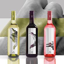 Etiquetas de para trilogía de vinos Castellroig . Pengemasan proyek oleh marc satlari - 07.25.2017