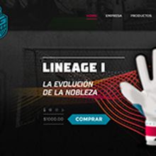 Diseño Onepage Responsive y Woocommerce para SG Keeper. Web Design project by Sebastian Sosa Dumé - 05.26.2017