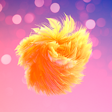 Estudio de Pelo en Cinema 4D. Un progetto di 3D di Juanma Pauso - 26.07.2017
