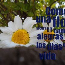 Proyecto 3 - Felicitación. Un projet de Photographie de Cristina GR - 30.07.2017