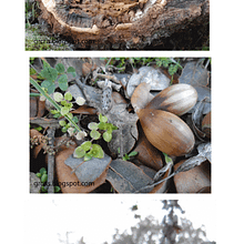 Proyecto 4 - Fotografías en invierno. Un projet de Photographie de Cristina GR - 30.07.2017