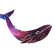 ballena . Design de cruel - 08.01.2017