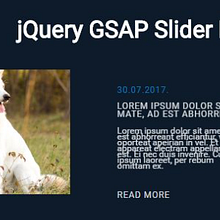 Slider. Projekt z dziedziny Design i Web design użytkownika Lisi De La Roz - 02.08.2017