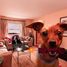 Mi Perro Dinamita / Fotomontaje. Collage, Design, and Photo Retouching project by Ari Franco - 08.04.2017