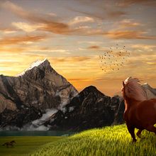 Mi Proyecto del curso: Matte Painting: creando mundos fotorrealistas. Un projet de Design  de Omar Martínez - 06.08.2017