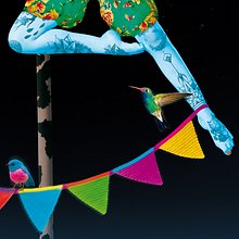 20ª Fira de Circ i Animació al Parc de St Martí. Un progetto di Direzione artistica, Graphic design e Illustrazione tradizionale di Karine Jaume - 07.08.2017