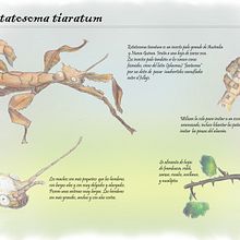 Illustraciencia 2015/ Concurso enciclopedia de ciencia. Un proyecto de Ilustración tradicional de Rubén Valle - 07.04.2015