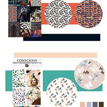Trends/  Prints/ F-W 2017-18. Design project by sara viñas - 08.08.2017