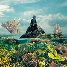 Vegetal Feeling. Fine Arts, Design, Photograph, and Photo Retouching project by Juan Sebastián Díaz Sánchez - 08.10.2017