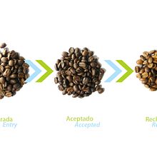 Diseño Web, Redes Sociales y Fotografía para Xeltron.com. Design Management project by Sebastian Gonzalez - 08.14.2017