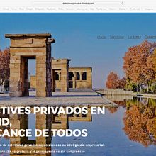Detectives madrid. Web Design project by Wellaggio - 08.15.2017