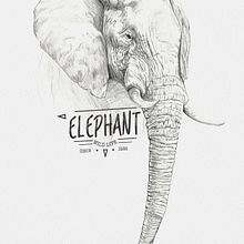 ELEPHANT. Traditional illustration project by miguel sastre - 08.30.2017