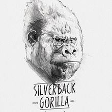 SILVERBACK GORILLA. Traditional illustration project by miguel sastre - 08.30.2017