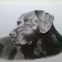 De todo un poco. Un proyecto de Bellas Artes de Cristina Lopez Pozo - 02.09.2017
