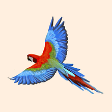 Ilustraciones - Aves. Design de personagens, Ilustração tradicional, Artes plásticas, Desenho, Desenho artístico, Desenho realista, Design e Ilustração digital projeto de Alexander Roldan - 02.09.2017
