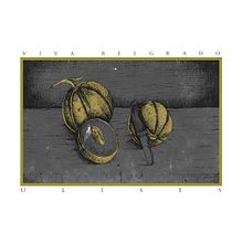 Viva Belgrado (fanart). Design, Graphic Design, and Traditional illustration project by Pedro Pérez Mendoza - 09.03.2017