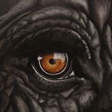 Dibujos conté fondo negro. Un projet de Beaux Arts de Elena Martín Beci - 04.09.2017