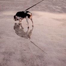 Mi Proyecto del curso: Nightcrawler. Photograph project by Ava Díaz - 09.04.2017