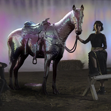 A Whole other country // Leitvox ft. Gavin Clark. 3D, Animation, Film, Video, TV, Photograph, Post-production, VFX, and Video project by Flaminguettes - 04.01.2015