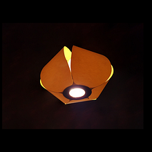 Lámpara Echinus . Desain, Desain Pencaha, aan, Dan Desain Industri proyek oleh Alexandre Martinez - 09.08.2017