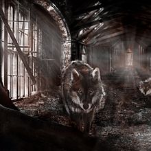 RECONSTRUCCIÓN . Un proyecto de Retoque fotográfico de cristina gago - 10.09.2017