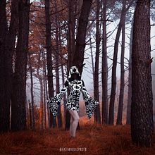 Killstar - Occult luxury. Fine Arts, Br, ing, Identit, Accessor, Design, Costume Design, and Photograph project by Fátima Ruiz - 09.12.2017