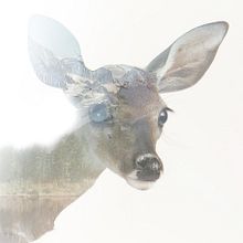 Doble Exposición. Un proyecto de Dirección de arte, Diseño y Fotografía de Eva Pitarch Chavarrias - 03.10.2016