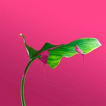 Dripping. Un proyecto de Artesanía, Dirección de arte y Fotografía de Paula Posadas Alvarez - 13.09.2017