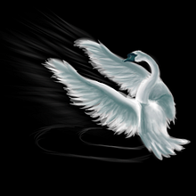 Cisne . Ilustrație tradițională de sergio_duran - 09.14.2017