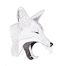 Nativos de la Patagonia . Ilustrație tradițională de Lucía Barrón - 06.01.2017