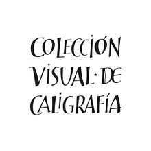 Colección Visual de Caligrafía, libros de caligrafía. Br, ing, Identit, Calligraph, Design, and Traditional illustration project by Silvia Cordero Vega - 09.23.2017
