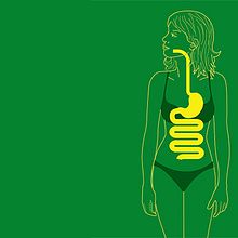Aparato Digestivos • Danone. Design, Information Design, Graphic Design, Traditional illustration, Br, ing, Identit, Creative Consulting, Editorial Design, Education & Infographics project by Carina Stinga - 09.26.2017