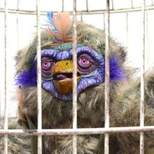 Basil Quetzal. Projekt z dziedziny Craft,  Manager art, st, czn, Projektowanie zabawek, Scenografia, Animacja poklatkowa i Telewizja użytkownika UpToMe - 26.09.2017